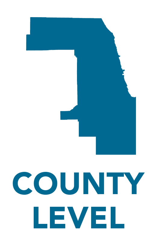 Representation on the County Level