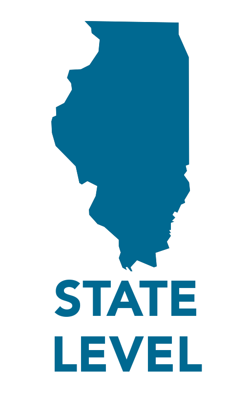 Representation on the State Level